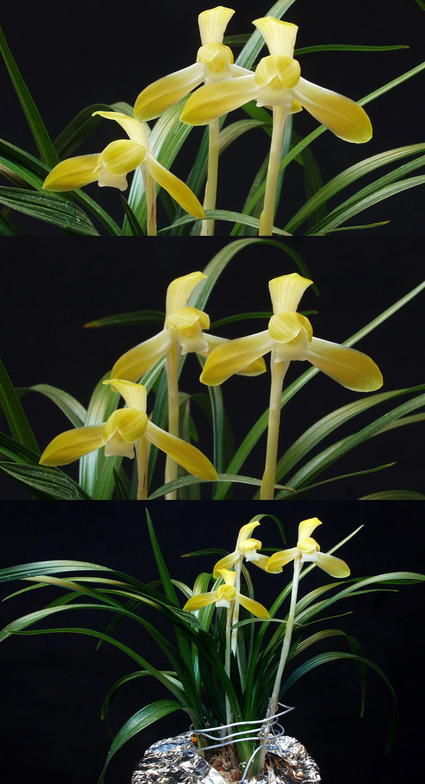 ������ ū������ �� �� �ֽ��ϴ�.